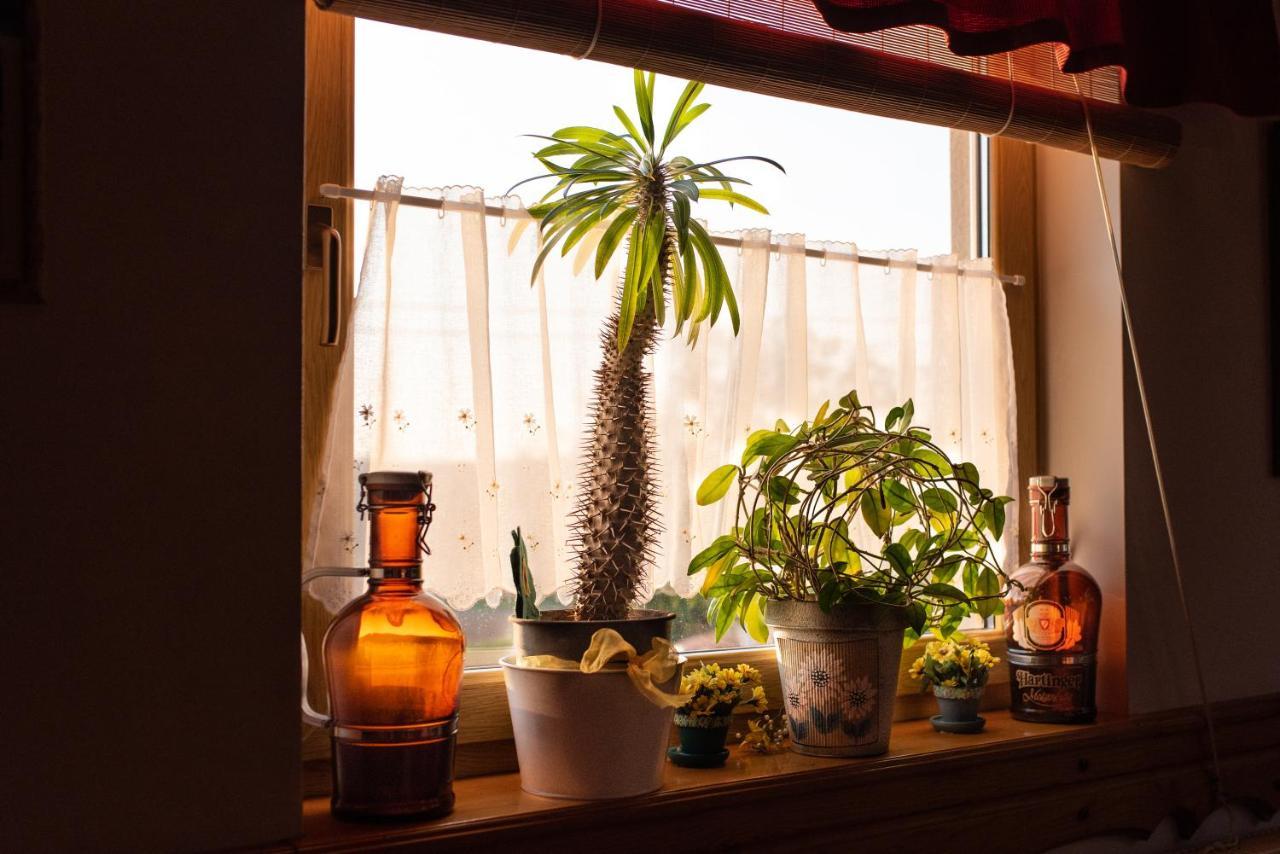 Andrea Wellness Garden Hotel Cserszegtomaj Eksteriør billede
